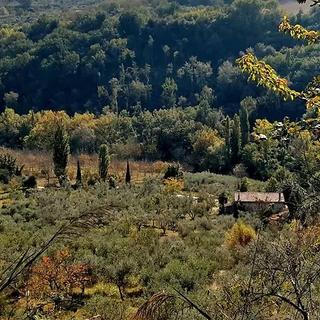 Semesterbostad Casale Terre Del Farfa *