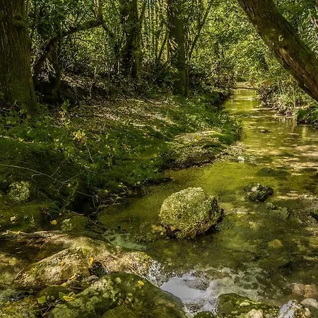 Casale Terre Del Farfa Semesterbostad *