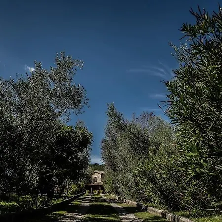 Casale Terre Del Farfa *